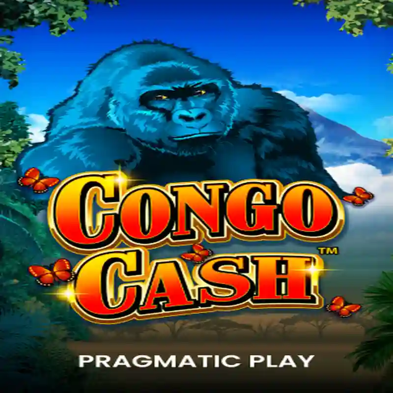 PP Congo Cash XL